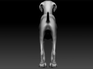 golden retriever dog canis lupus familiaris 3Dモデル