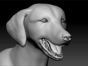 golden retriever dog canis lupus familiaris 3Dモデル