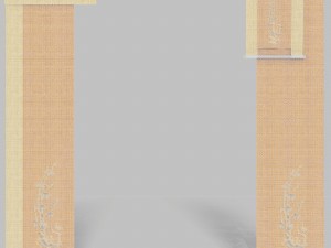 curtains 8 Model 3D