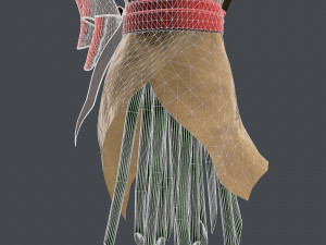 bouquet 3D Модель