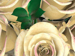 bouquet 3D Модель