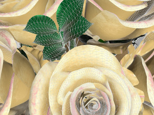 bouquet 3D Модель