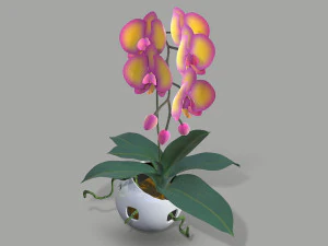 falenopsis 3D Model