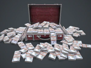 Suitcase With Money 3D Model