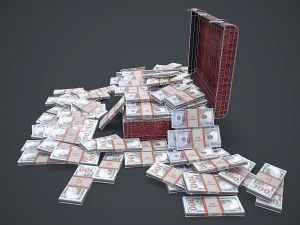 Suitcase With Money 3D Model