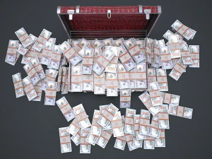 Suitcase With Money 3D Model