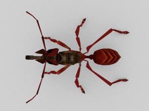 ant with 3Dモデル