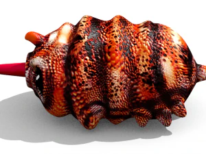 martian larva 3D Model