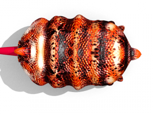 martian larva 3D Model