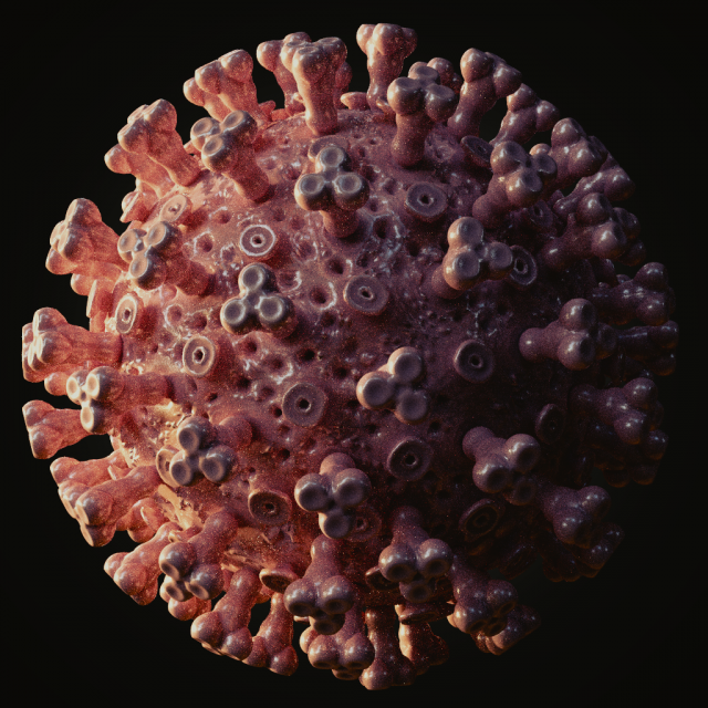 coronavirus covid-19 3D 打印模型 .c4d .max .obj .3ds .fbx .stl .blend 