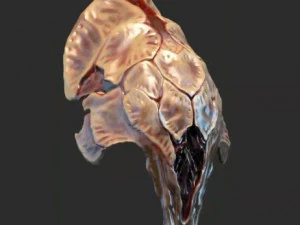 Maska Depredadora PREY Model do druku 3D