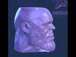 Flowerpot thanos 3D Print Model