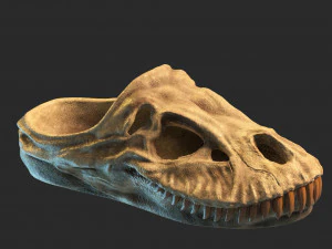 Dinosaur focil SANDALS 3D Print Model