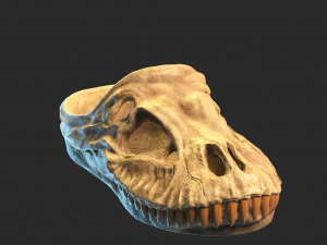Dinosaur focil SANDALS 3D Print Model
