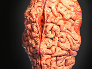 Demon with brain face mask 3D Print Model