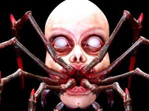 Ragno dal volto umano Modello di stampa 3D