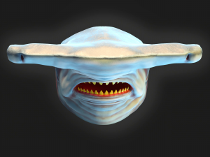 Hammerhead shark mask Modelo de Impressão 3D