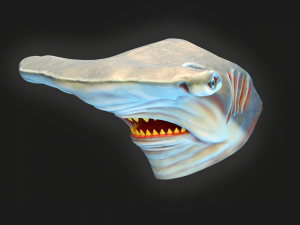 Hammerhead shark mask Modelo de Impressão 3D