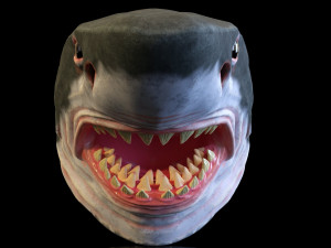 SHARK MASK 3Dプリントモデル