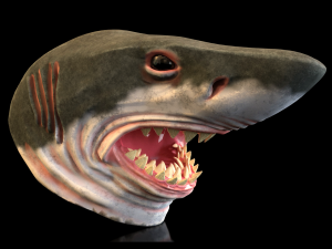 SHARK MASK 3Dプリントモデル