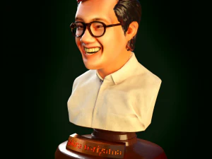 Akira Toriyama bust 3D Print Model