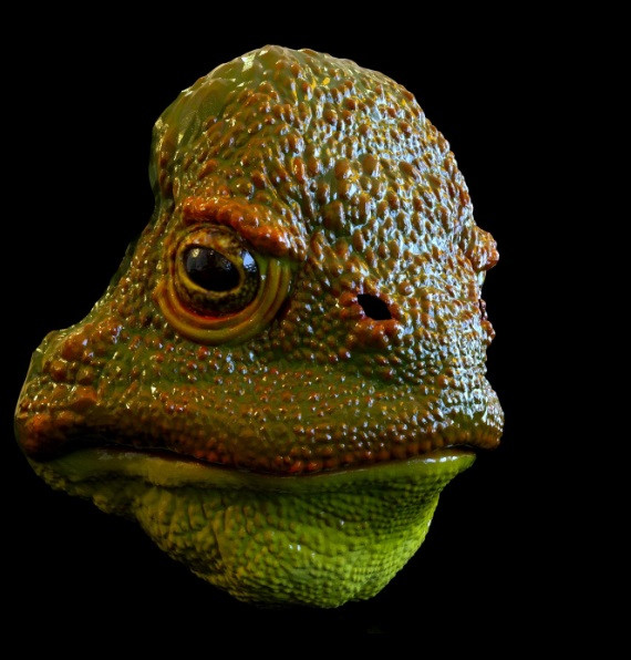 Frog mask 3D Print Model .c4d .max .obj .3ds .fbx .stl .blend 