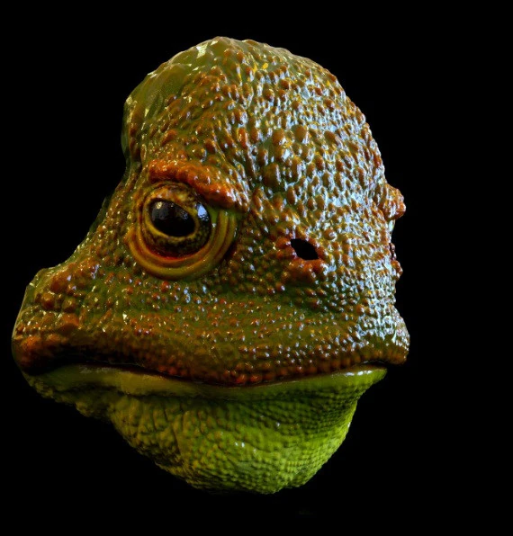 Frog mask 3D Print Model .c4d .max .obj .3ds .fbx .stl .blend 