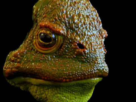 Frog mask 3D Принт Модель