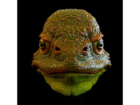 Frog mask 3D Print Model