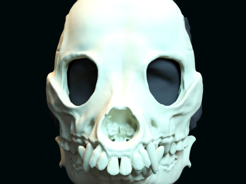 Druid skull mask 3D Druckmodell