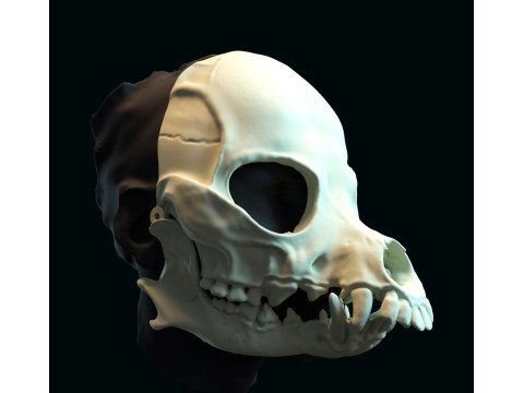 Druid skull mask 3D Print Model