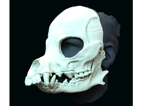 Druid skull mask 3D Print Model