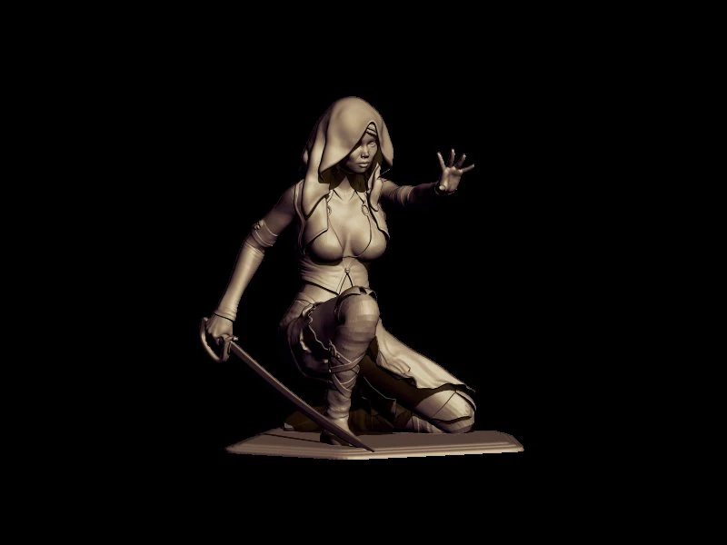 assasin 3D Print Model .c4d .max .obj .3ds .fbx .stl .blend 