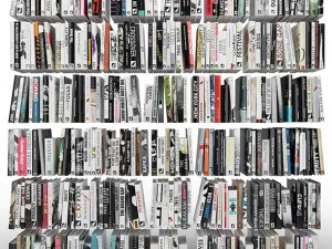 books 300 pieces 3D Model