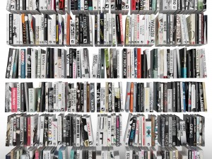 books 300 pieces 3Dモデル