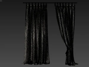 curtain 2 3D Model
