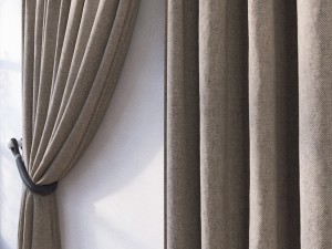 curtain 3D 模型