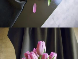 bouquet of tulips 3D Model