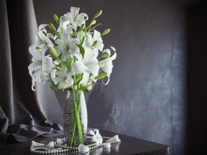 lily in vase 3D Model