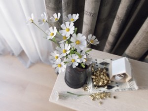 decor Modèle 3D
