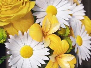 flowers in vase 3D-Modell