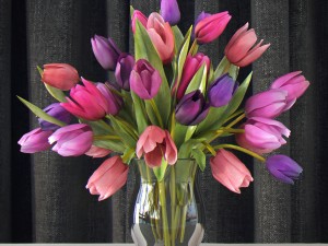 flowers in vase 3D Модель