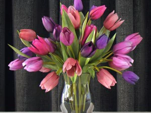 fiori in vaso Modello 3D