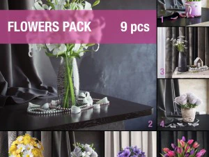 &ccedil;i&ccedil;ek paketi 3D Model