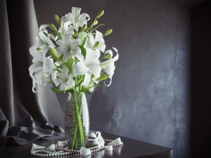 flowers pack 3D Model