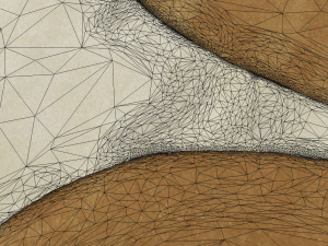 carpet Modello 3D