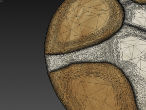 carpet Modello 3D