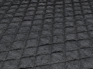 carpet Model 3D