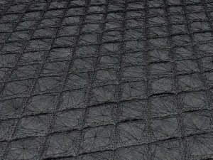 carpet 3D Model