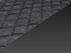 carpet 3D Model